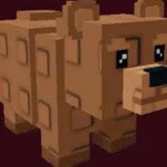 bear