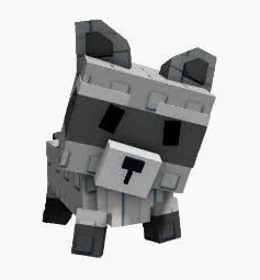 racoon